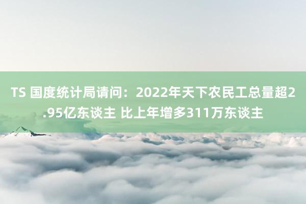 TS 国度统计局请问：2022年天下农民工总量超2.95亿东谈主 比上年增多311万东谈主