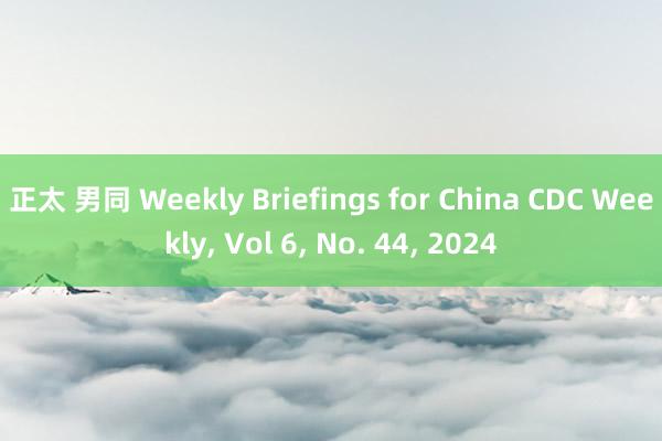 正太 男同 Weekly Briefings for China CDC Weekly， Vol 6， No. 44， 2024