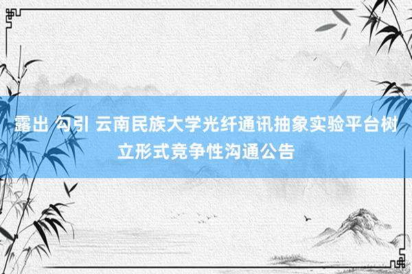 露出 勾引 云南民族大学光纤通讯抽象实验平台树立形式竞争性沟通公告