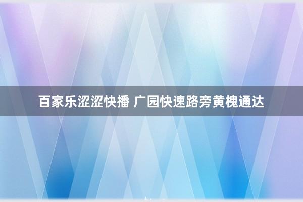 百家乐涩涩快播 广园快速路旁黄槐通达