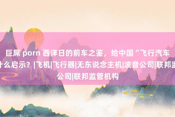 巨屌 porn 西洋日的前车之鉴，给中国“飞行汽车”带来什么启示？|飞机|飞行器|无东说念主机|波音公司|联邦监管机构