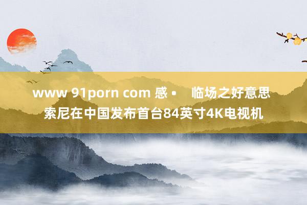 www 91porn com 感 •    临场之好意思 索尼在中国发布首台84英寸4K电视机