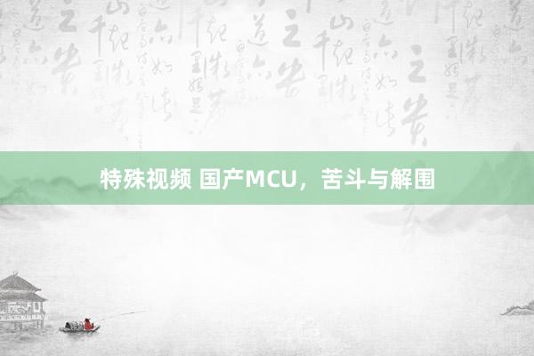 特殊视频 国产MCU，苦斗与解围