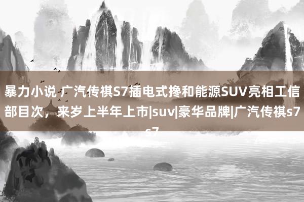 暴力小说 广汽传祺S7插电式搀和能源SUV亮相工信部目次，来岁上半年上市|suv|豪华品牌|广汽传祺s7